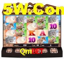 Qmbet