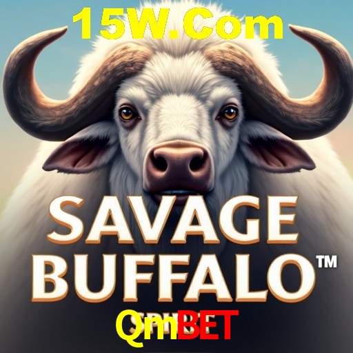 Interface Premium Qmbet
